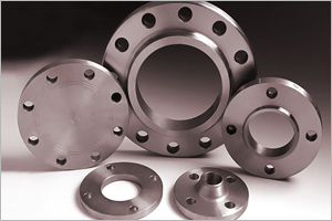 Stainless Steel Flanges